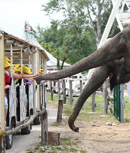 Turisticka agencija Euroline Pekez Richter safari park slika 1