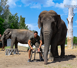 safari park richter