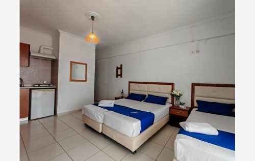 kuca-alexandros-sarti-24-2