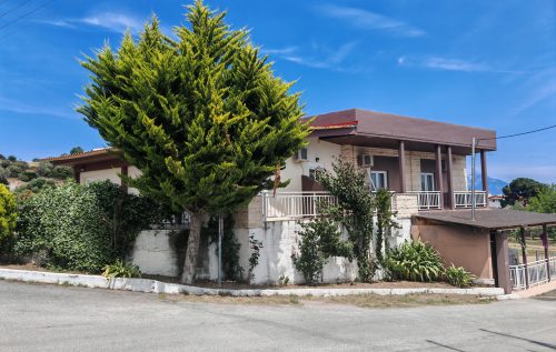 kuca-amalia-sarti-68