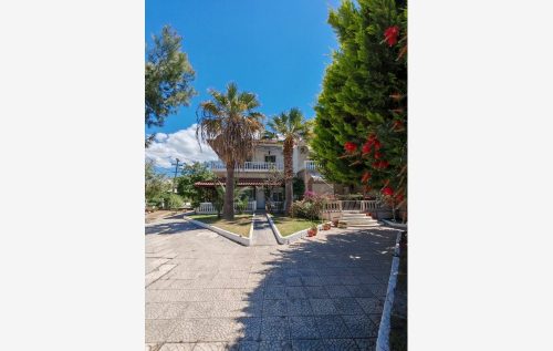 kuca-olga-toroni-91-1