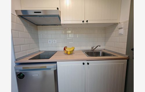 kuca-zeppos-simonitiko-137-4