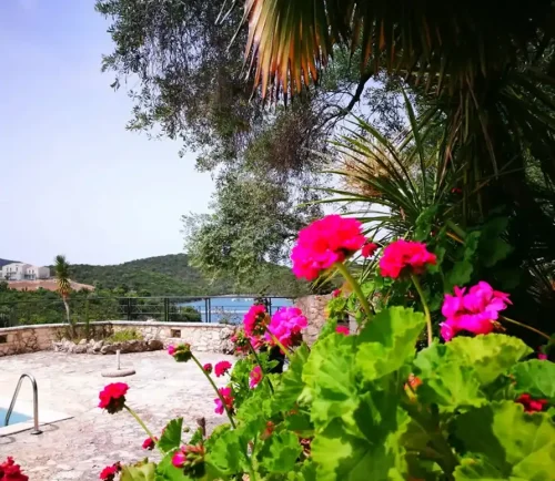 vila-nirides-sivota-28